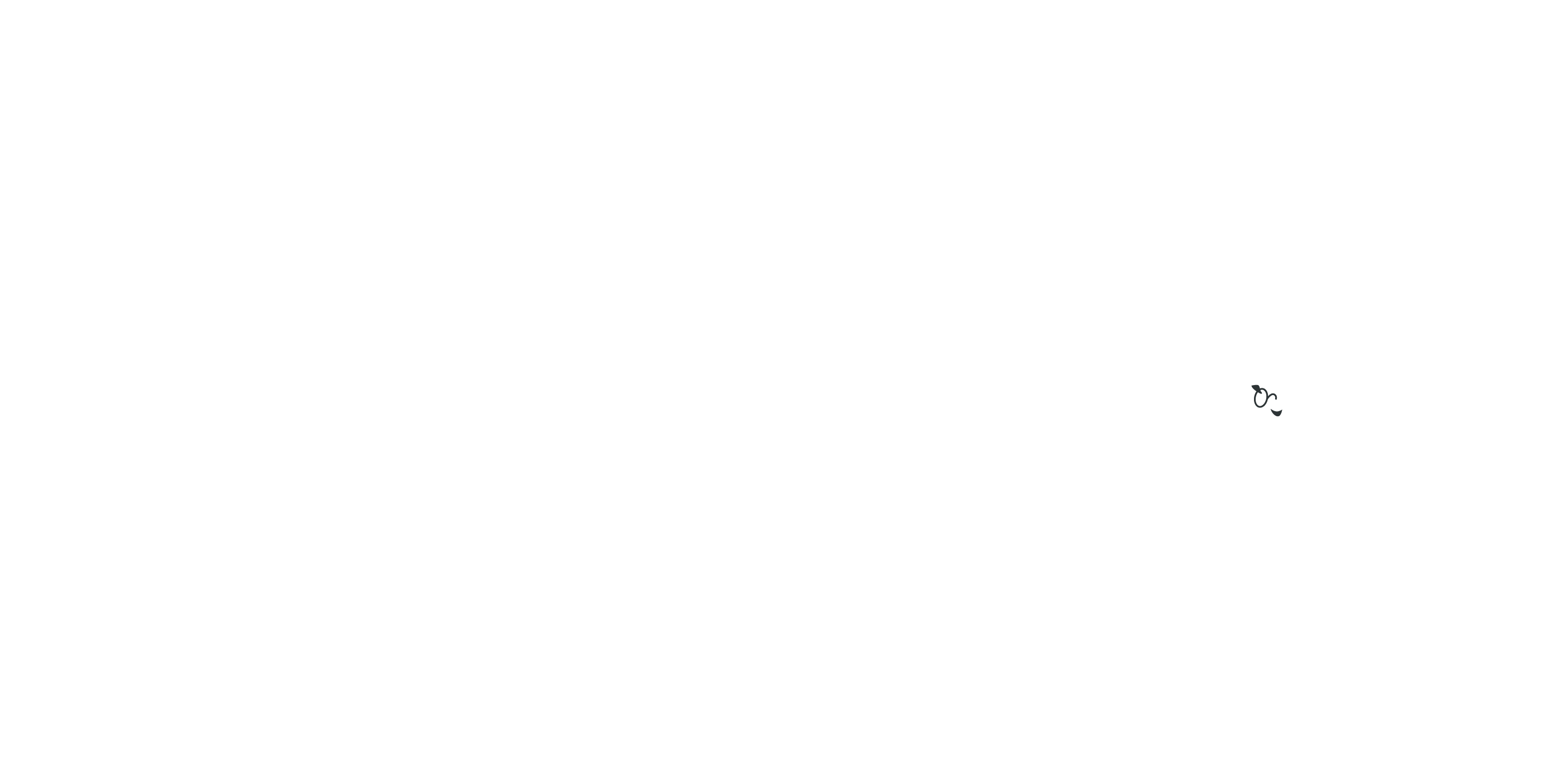 臺灣讀豹